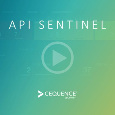 API Sentinel Video