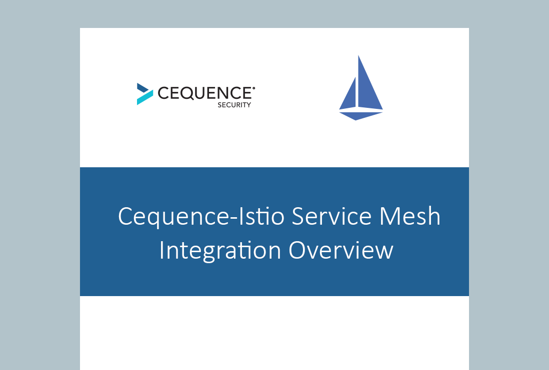 Cequence-Istio Service Mesh Integration Overview
