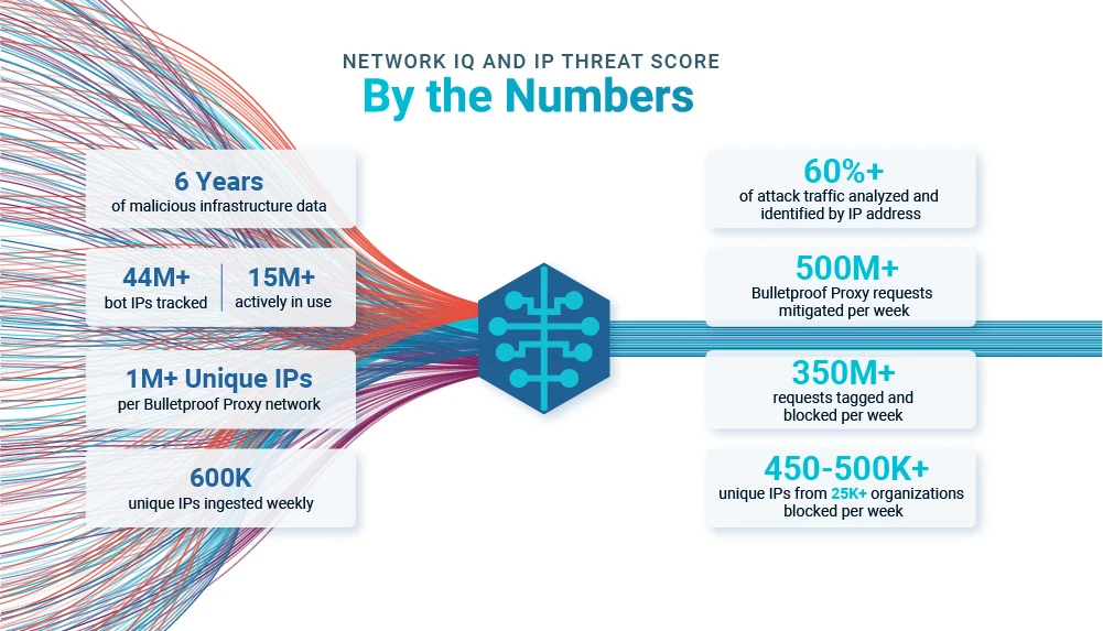 Network IQ - By The Numbers