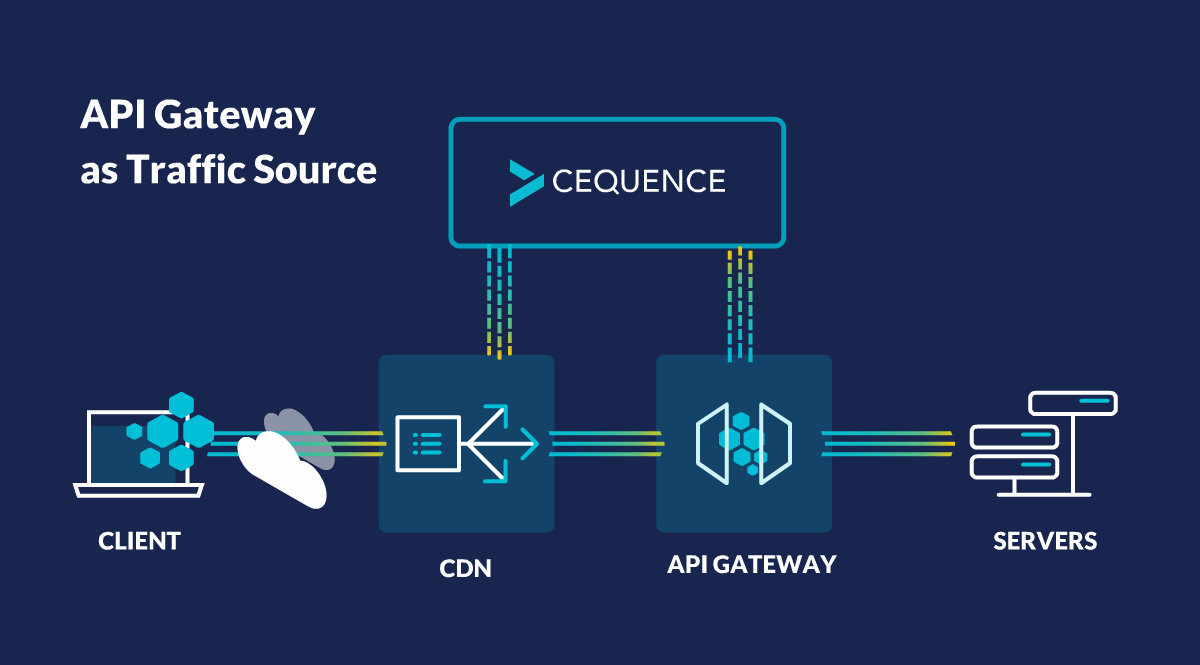 API gateway security