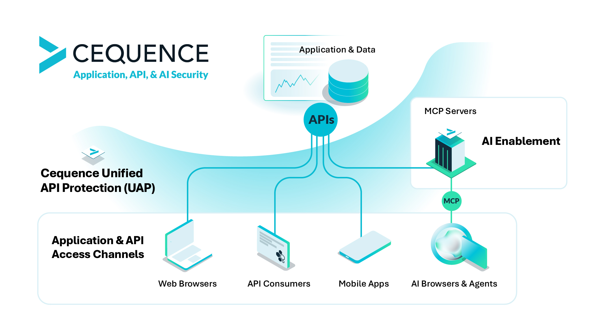 Application and API access channels